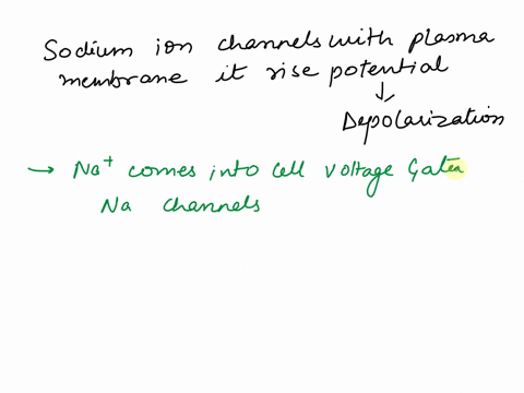 which-of-the-following-true-about-the-depolarization-phase-of-the-action-potential-select-all-that-apply-select-all-that-apply-it-is-due-to-na-coming-into-the-cell-through-voltage-gated-nat-90588