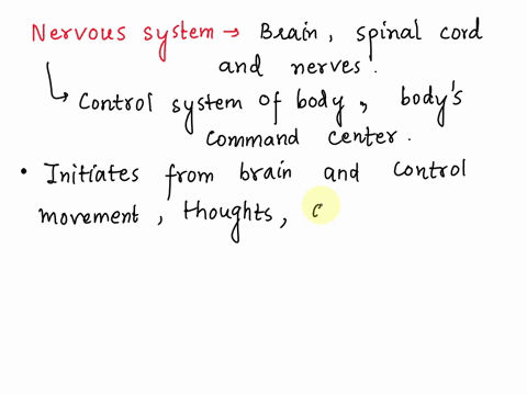 why-is-the-nervous-system-the-control-system-of-the-body-53444