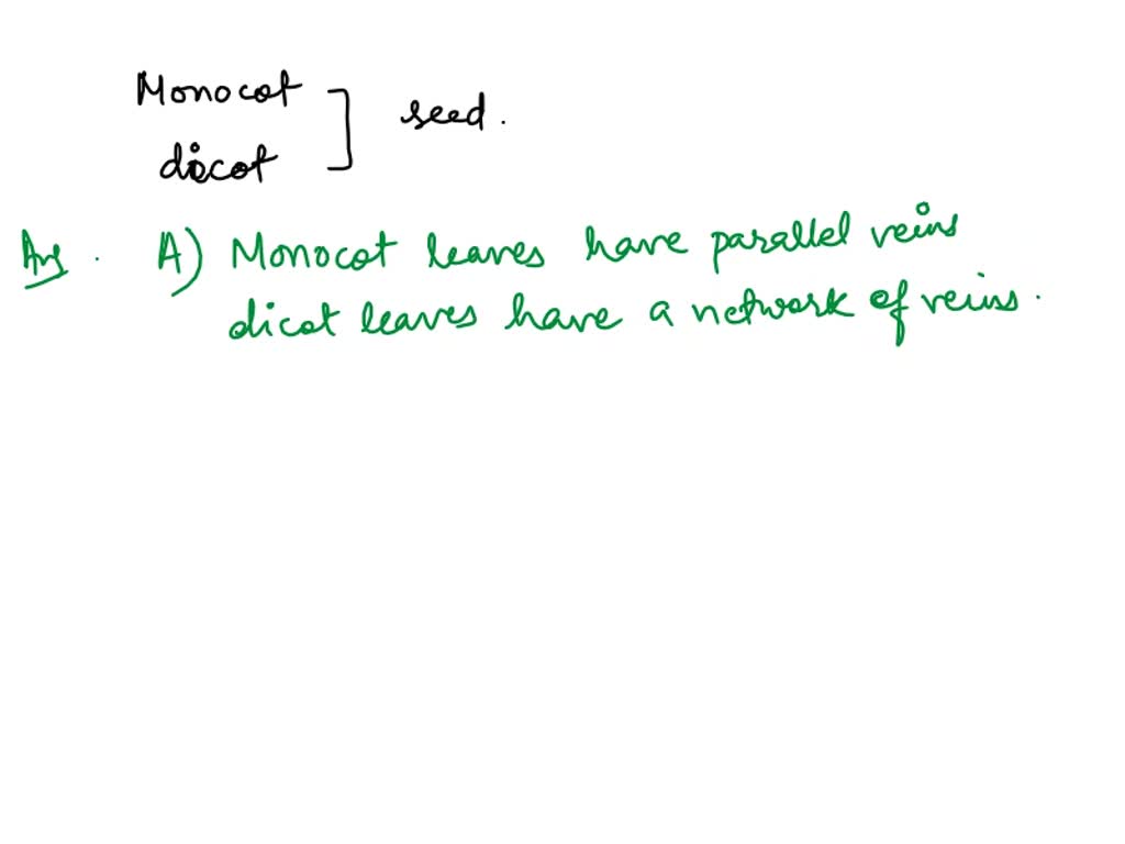 SOLVED: Which of the following helps identify leaves as monocot or ...