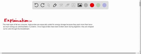 why-are-fats-a-good-source-of-energy-for-storage-in-the-body-2-16423