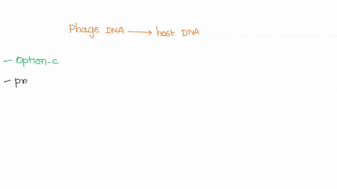 the-phage-dna-is-not-hydrolyzed-along-with-the-host-dna-because-phage-dna-contains-an-unrecognizable-protected-form-of-nucleic-acid-base-phage-dna-remains-outside-the-cell-protein-sheath-pro-19864