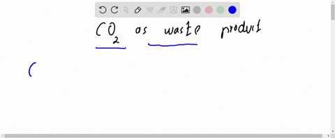 which-process-produces-co2-as-a-waste-product