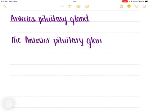 the-________-is-sometimes-referred-to-as-the-master-gland-because-almost-all-of-its-hormones-direct-the-activity-of-target-glands-elsewhere-anterior-thyroid-gland-posterior-adrenal-gland-anterior-pitu