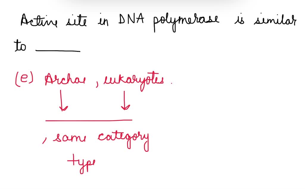 SOLVED Taq polymerase is the DNA polymerase enzyme obtained from