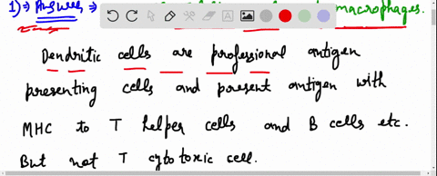 1-dendritic-cells-present-antigen-to-choose-all-that-apply-a-b-cells-b-helper-t-cells-c-cytotoxic-t-cells-d-other-dendritic-cells-e-macrophages-2-helper-t-cells-choose-all-that-apply-a-proli-69359