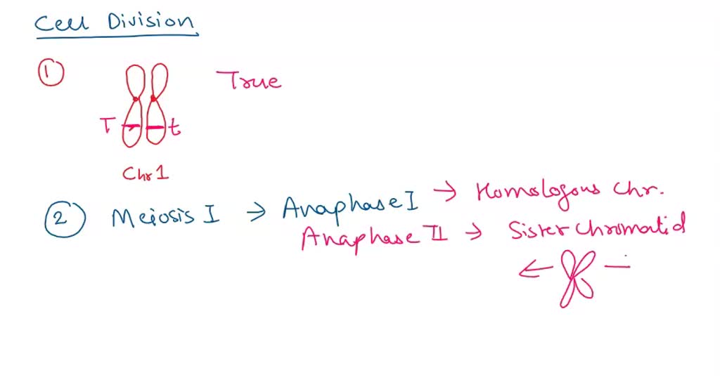 SOLVED 1. True or False Homologous chromosomes have the same genes but