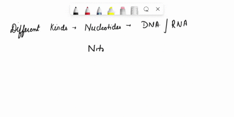 how-many-different-kinds-of-nucleotides-dna-and-rna-can-any-given-cell-have-a-8-b-millions-c-5-d-4-11322