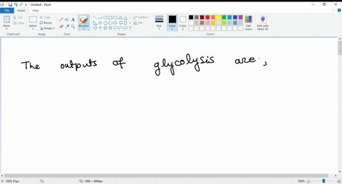 the-outputs-of-glycolysis-are-mark-all-that-apply-2-pyruvate-clectrons-2-nadh-4-atp-net-gain-oxygen-2-atp-net-gain-89504