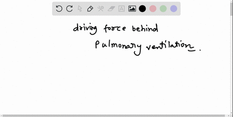 what-is-the-most-immediate-driving-force-behind-pulmonary-ventilation-46177
