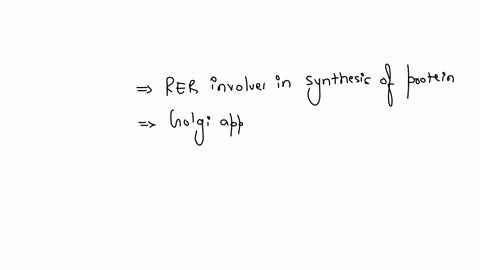which-of-the-following-cell-structures-deal-with-the-synthesis-andor-packaging-of-proteins-as-a-primary-function-correct-answers-vacuole-rough-endoplasmic-reticulum-golgi-apparatus-hysosomes-ribosomes