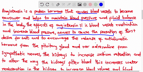 beyond-stimulating-aldosterone-secretion-list-the-effects-of-ang-ii-give-examples-and-brief-descriptions-of-pharmaceutical-agents-that-work-by-altering-responses-in-the-ras-pathway-the-kidne-42847
