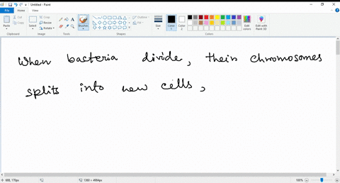 when-bacteria-clivide-how-co-their-chromosomes-split-into-new-cells-centroscmes-bind-to-the-kinetochore-and-pull-them-apart-the-bacterial-centromere-binds-to-both-ends-of-the-dividing-cell-e-59575