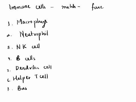 match-the-immune-system-cell-to-its-function-1-macrophage-2-neutrophil-3-nk-cell-4-b-cell-5-dendritic-cell-6-helper-t-7-basophil-8-cytotoxic-t-a-roams-the-blood-stream-and-when-it-encounters-39743