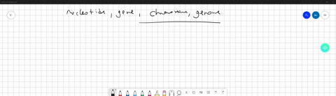 order-the-following-evels-of-genomic-organization-from-smallest-to-largest-chromosome-gene-genome-_-nucleotide-10-agree-or-disagree-with-the-following-statement-and-explain-your-reasoning-in-65187