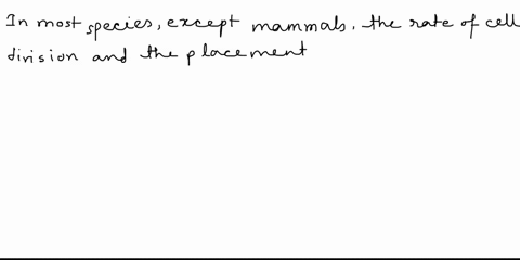 question-20-2-pts-which-of-these-is-a-true-statement-many-mammals-can-reproduce-by-parthenogenesis-in-dire-environmental-condition-maternal-cytoplasmic-mrna-rather-than-zygotic-mrna-controls-88658