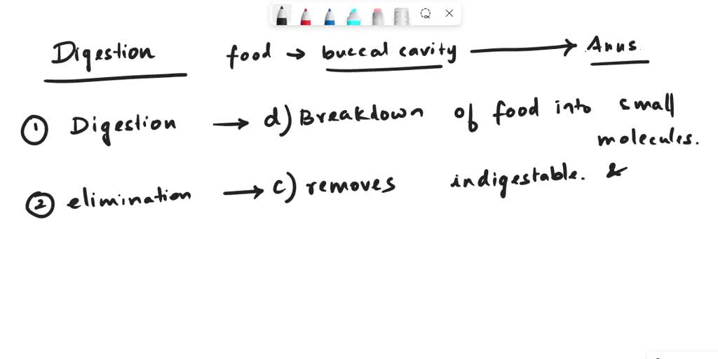 Food Breakdown Process SOLVED: Texts: Match each phase of the digestive process to the correct ...