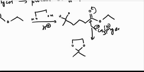 9-the-product-of-the-reaction-shown-is-called-a-ethyl-5-hydroxy-5-methylhexanoate-b-ethyl-5-oxohexanoate-c-5-hydroxy-5-methylhexanoic-acid-d-26-dimethyl-26-heptanediol-e-6-methyl-6-hydroxy-2-67358