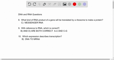 ribosome-to-make-protein-which-kind-of-rna-product-of-gene-will-be-translated-by-transfer-rna-ribosomal-rna-messenger-rna-regulatory-small-rna-with-reference-to-rna_-which-is-correct-a-t-a-u-80352