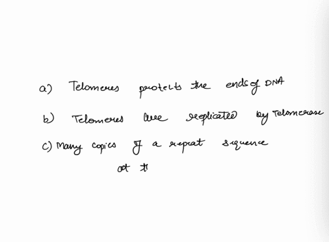 which-of-the-following-statements-about-eukaryotic-telomeres-is-false-telomeres-protect-the-ends-of-the-chromosome-telomeres-are-replicated-by-the-enzyme-telomerase-there-are-many-copies-of-41447