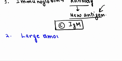 11-the-main-immunoglobulin-secrets-as-an-immune-response-to-new-antigen-is-a-igg-b-iga-cigm-d-ige-is-secreted-in-1large-amount-as-a-secondary-immune-response-a-igg-b-iga-c-igm-d-ige-13_-prim-08622