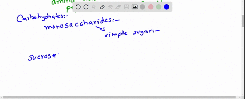 how-does-chemical-structure-of-proteins-differ-from-the-structures-of-carbohydrates-and-fats-00007