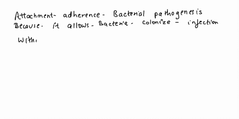 why-is-attachment-or-adherence-critical-to-bacterial-pathogenesis-what-different-types-of-surfaces-can-bacteria-adhere-to-99396