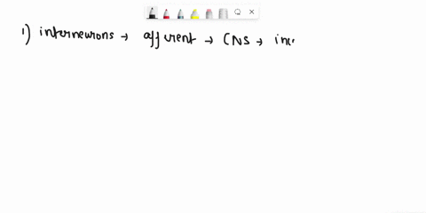 which-of-the-following-is-correct-regarding-interneurons-othey-are-also-called-afferent-neurons-either-contain-sensory-receptoratat-their-distal-ends-dendrites-or-are-located-just-atter-sens-52764