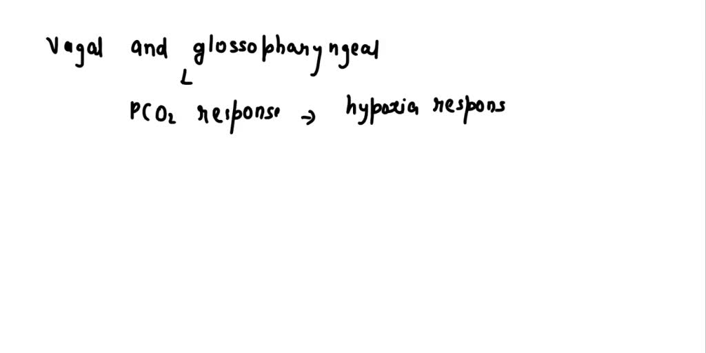 SOLVED 16. Blockade of the vagal and glossopharyngeal nerves has a