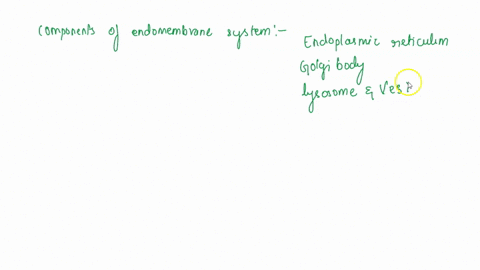 what-is-the-functions-of-the-major-cell-organelles-what-is-the-components-of-the-endomembrane-system-what-is-the-structures-of-the-cytoskeleton-and-their-functions-what-is-the-differences-in-26714