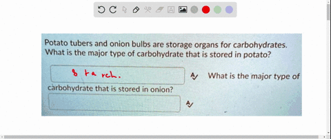 potato-tubers-and-onion-bulbs-are-storage-organs-for-carbohydrates-what-is-the-major-type-of-carbohydrate-that-is-stored-in-potato-a-what-is-the-major-type-of-carbohydrate-that-is-stored-in-54323