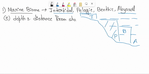 please-just-give-the-answer-to-the-3-questions-urgent-thanks-15-the-marine-biome-is-primarily-divided-into-ecologically-distinct-zones-depending-on-_____-a-plant-life-present-b-type-of-fish-08782