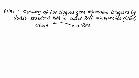 rnai-may-be-directed-by-small-interfering-rnas-sirnas-or-micrornas-mirnas-how-are-these-similar-and-86604