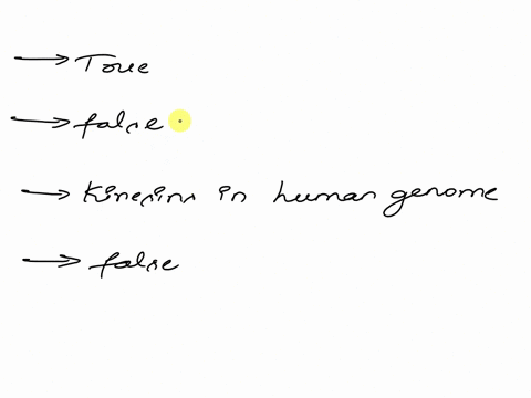 question-mnatic-dmvisons-the-drosophila-early-embyo-are-3unchranous-tnva-falsa-question-tha-malrity-ot-the-members-0t-the-kinesin-family-and-the-dyneins-move-the-same-direction-along-microtu-68016
