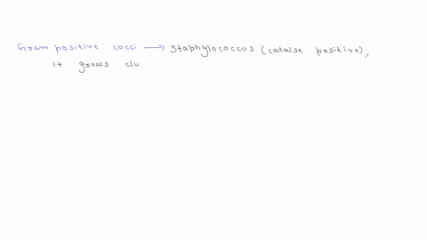 if-a-lab-report-from-a-throat-culture-comes-back-with-gram-positive-cocci-in-long-chains-and-gram-negative-cocci-what-could-be-a-tentative-identification-of-the-microorganism-causing-the-inf-34915