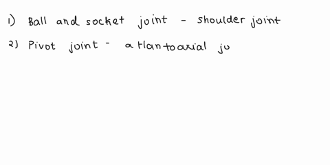 1-explain-structural-and-functional-classifications-of-joints-2-distinguish-between-and-give-examples-for-the-three-main-functional-classifications-of-joints-synarthrodial-sutures-gomphosis-15297