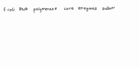 1-15-pt-consider-the-structure-of-the-e-coli-rna-polymerase-core-enzyme-not-the-holoenzyme-answer-the-following-questions-how-many-total-subunits-does-the-core-enzyme-contain-how-many-unique-54124