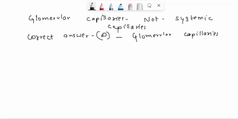 a-feature-of-glomerular-capillaries-that-is-not-seen-in-the-systemic-capillaries-is-ahaving-an-arteriole-that-brings-blood-into-the-capillaries-bnone-of-the-above-cbeing-permeable-to-solutes-30256