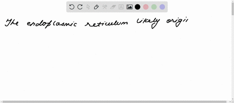 the-endoplasmic-reticulum-likely-originated-from-endosymbiosis-true-false-65455