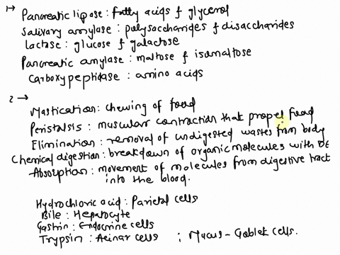 match-the-enzyme-with-the-products-of-its-digestive-activity-a-glucose-and-galactose-b-amino-acids-c-fatty-acids-and-glycerol-d-maltose-and-isomaltose-e-polysaccharides-and-disaccharides-pan-57588
