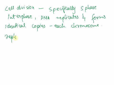 identical-copies-of-chromatin-held-together-by-cohesin-at-the-centromere-are-called-___________-a-hi-09382