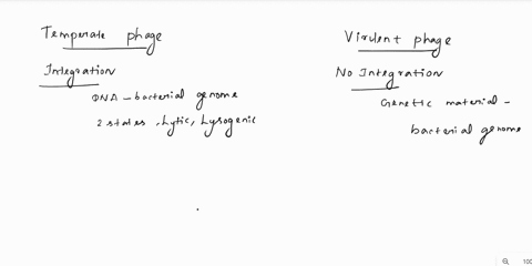 differentiate-between-a-virulent-and-temperate-phage-01708
