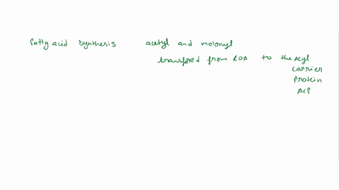 during-fatty-acid-synthesis-acetyl-and-malonyl-carboxylated-acetyl-groups-are-transferred-from-coa-to-the-acyl-carrier-protein-acp-which-attaches-them-to-fatty-acid-synthase-which-of-the-fol-66408