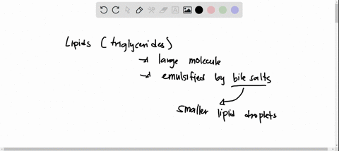 micelles-are-group-of-answer-choices-a-small-droplets-of-bile-released-into-the-duodenum-from-the-gallbladder-b-small-droplets-of-dietary-cholesterol-that-move-rapidly-through-the-intestinal-40305