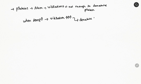 what-happens-to-an-enzymes-structure-as-it-exceeds-the-typical-human-body-temperature-02657