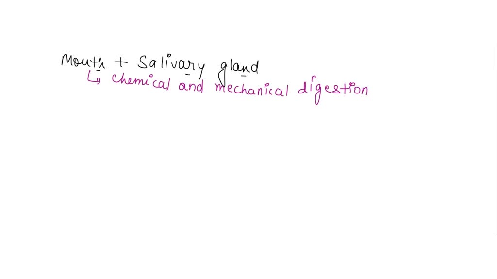 SOLVED 