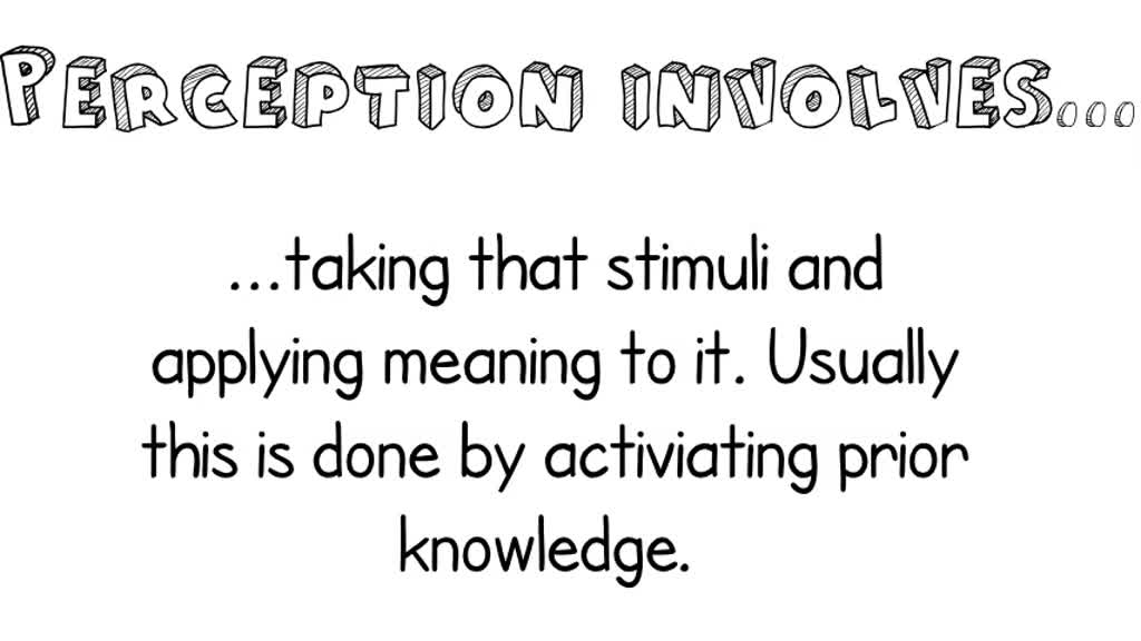 solved-what-are-sensation-and-perception-how-are-they-linked