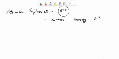 what-is-the-importance-of-phosphate-group-in-atp-especially-in-photosynthesis-and-how-is-energy-transfer-mechanism-by-phosphate-in-atp-08204