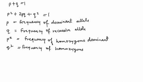 the-recessive-allele-b-has-a-frequency-of-08-in-a-population-that-is-in-hardy-weinberg-equilibrium-what-is-the-genotypic-frequency-of-the-homozygous-dominant-hint-calculate-the-dominant-alle-50412