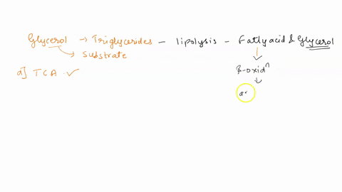 glycerol-from-triglycerides-can-be-converted-to-a-substrate-for-the-a-citric-acid-cycle-b-embden-meyerhof-pathway-calvin-benson-cycle-d-pentose-phosphate-pathway-e-glycolytic-pathway-questio-99138