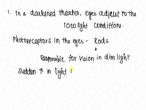 you-have-just-watched-an-afternoon-matinee-at-the-movie-theater-what-happens-as-you-leave-the-theater-o-you-vision-remains-dimas-it-was-in-the-darkened-theater-you-have-to-squint-because-you-41998
